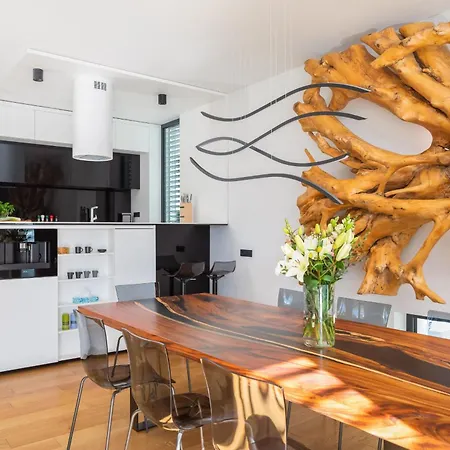 Acacia With Heated Pool 别墅 佩特坎内